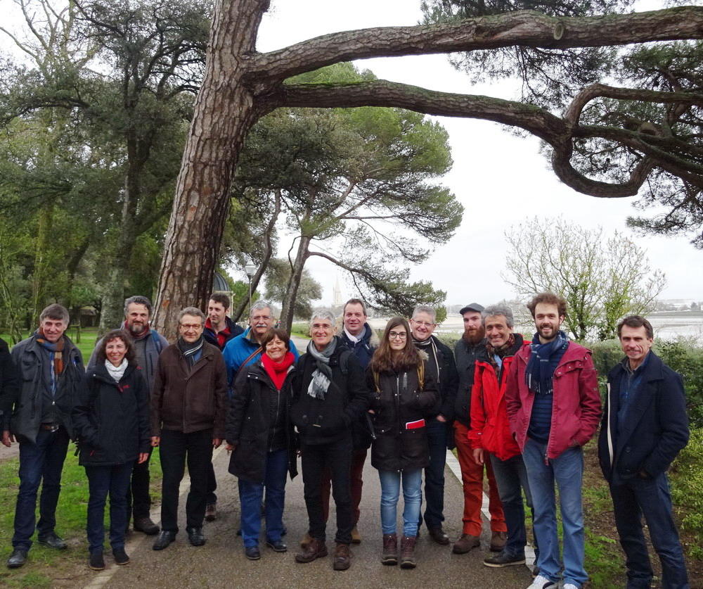 experts de l'arbre du GECAO