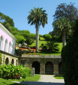 arbres des parcs et jardins