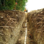 arbres et tranchées réseaux enfouis