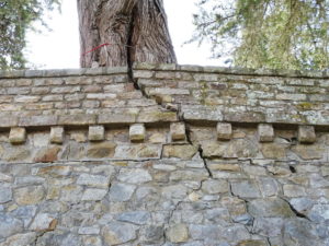 arbre et fissure à ouvrage