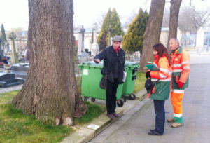 arbre expert conseil aux collectivités